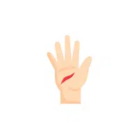 Hand Gestures meaning | Flat hand in English