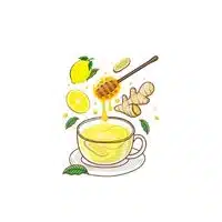 Ginger Snap in English