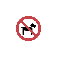 No Animals in English