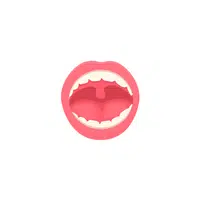 Uvula in English