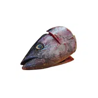 Fish Head in English