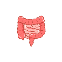 Internal Body Parts Names |Intestines in English