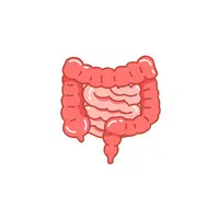 Internal Body Parts Names |Intestines in English