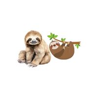 Sloth - Female Sloth in English