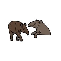 Masculine and Feminine Gender of Animals | Tapir - Sow in English