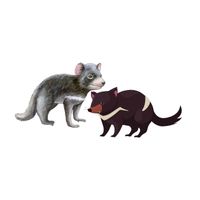 Masculine and Feminine Gender of Animals | Tasmanian Devil - Female Tasmanian Devil in English
