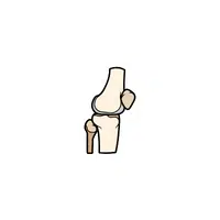 Body Parts Names of Humans |Patella in English