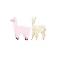 Alpaca - Female Alpaca in English