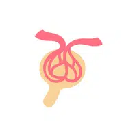 Bowman's capsule in English