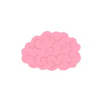 Internal Body Parts Names |Distal convoluted tubule in English