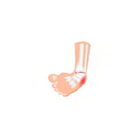 Body Parts Names of Humans |Ankle in English