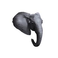 Animal body parts names | Elephant Head in English