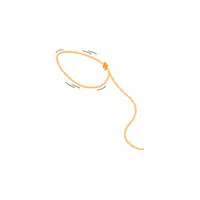 Internal Body Parts Names | Loop of Henle in English