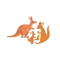 Masculine and Feminine Gender of Animals |Wallaby - Wallaby in English