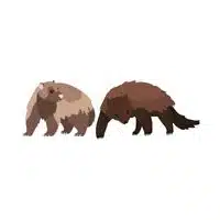 Masculine and Feminine Gender of Animals |Wolverine - Sow in English