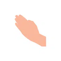 Hand Gestures meaning | Palm slapping in English