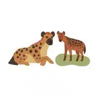 Masculine and Feminine Gender of Animals | Hyaena - Hyaena in English