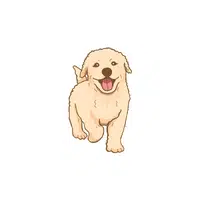 List of Mammals Animals Name | Dog in English