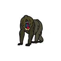 List of Mammals Animals Name | Mandrill in English
