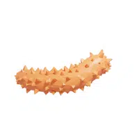 Sea Cucumber in English