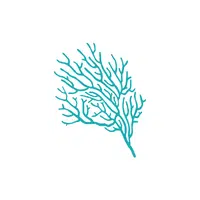 Sea Fan in English