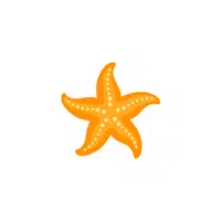 Sea Star in English