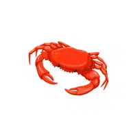 Sea Animals Name |Crab in English