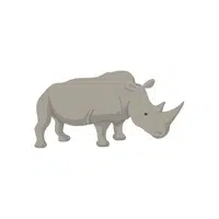 List of Mammals Animals Name |Kangaroo in English