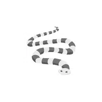 Sea Animals Name |Sea Snake in English