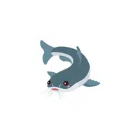 Sea Animals Name |Sea Catfish in English