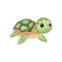 Sea Animals Name | Sea Turtle in English