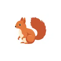 List of Mammals Animals Name |Squirrel in English