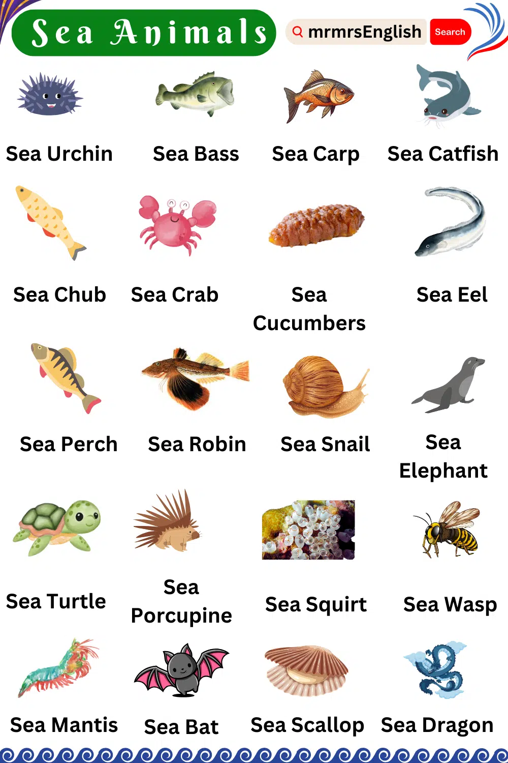 Sea Animals Name in English