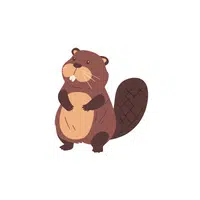 List of Mammals Animals Name |Beaver in English