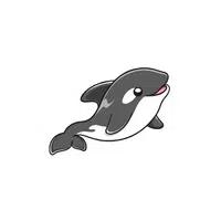 Sea Animals Name | Orca (Killer Whale) in English