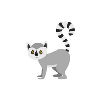 List of Mammals Animals Name |Lemur in English