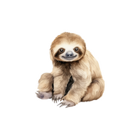List of Mammals Animals Name | Sloth in English