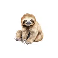 List of Mammals Animals Name | Sloth in English