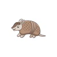 List of Mammals Animals Name | Armadillo in English