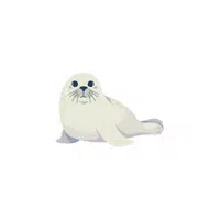 Sea Animals Name | Leopard Seal in English