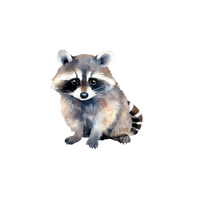 List of Mammals Animals Name | Raccoon in English