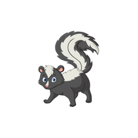 List of Mammals Animals Name |Skunk in English