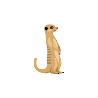 List of Mammals Animals Name |Meerkat in English