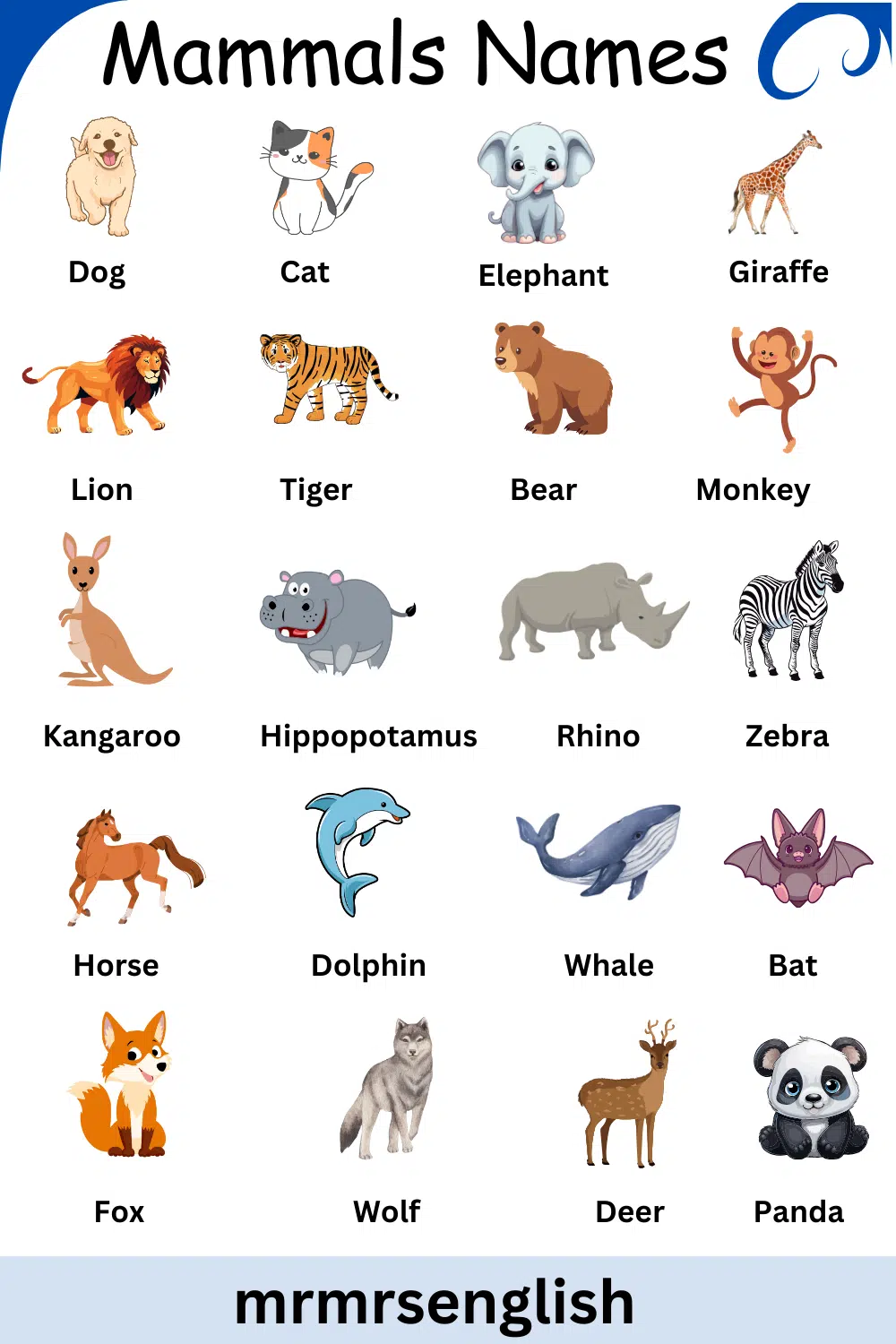 List of Mammals Animals Name in English