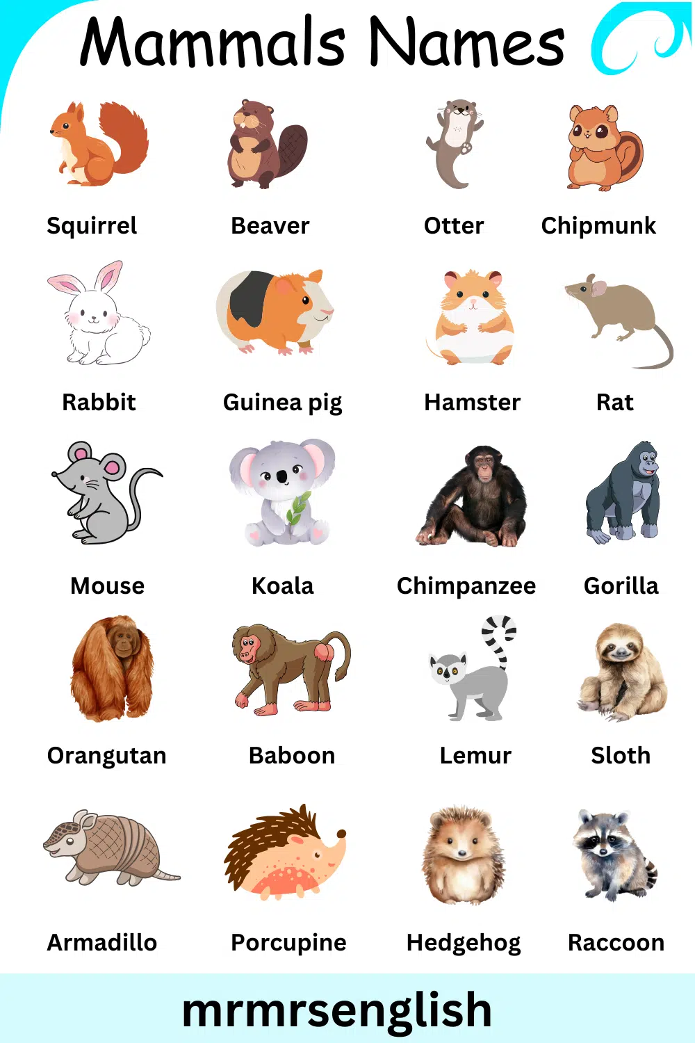 List of Mammals Animals Name in English