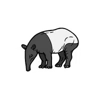 Tapir in English