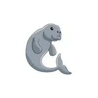 Dugong in English