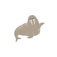 Walrus in English