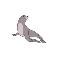 List of Mammals Animals Name |Sea lion in English