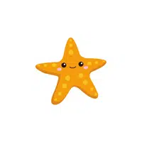 Sea Animals Name |Starfish in English